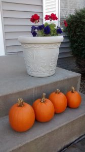 1780730_10152591758614565_6470093595177863657_n